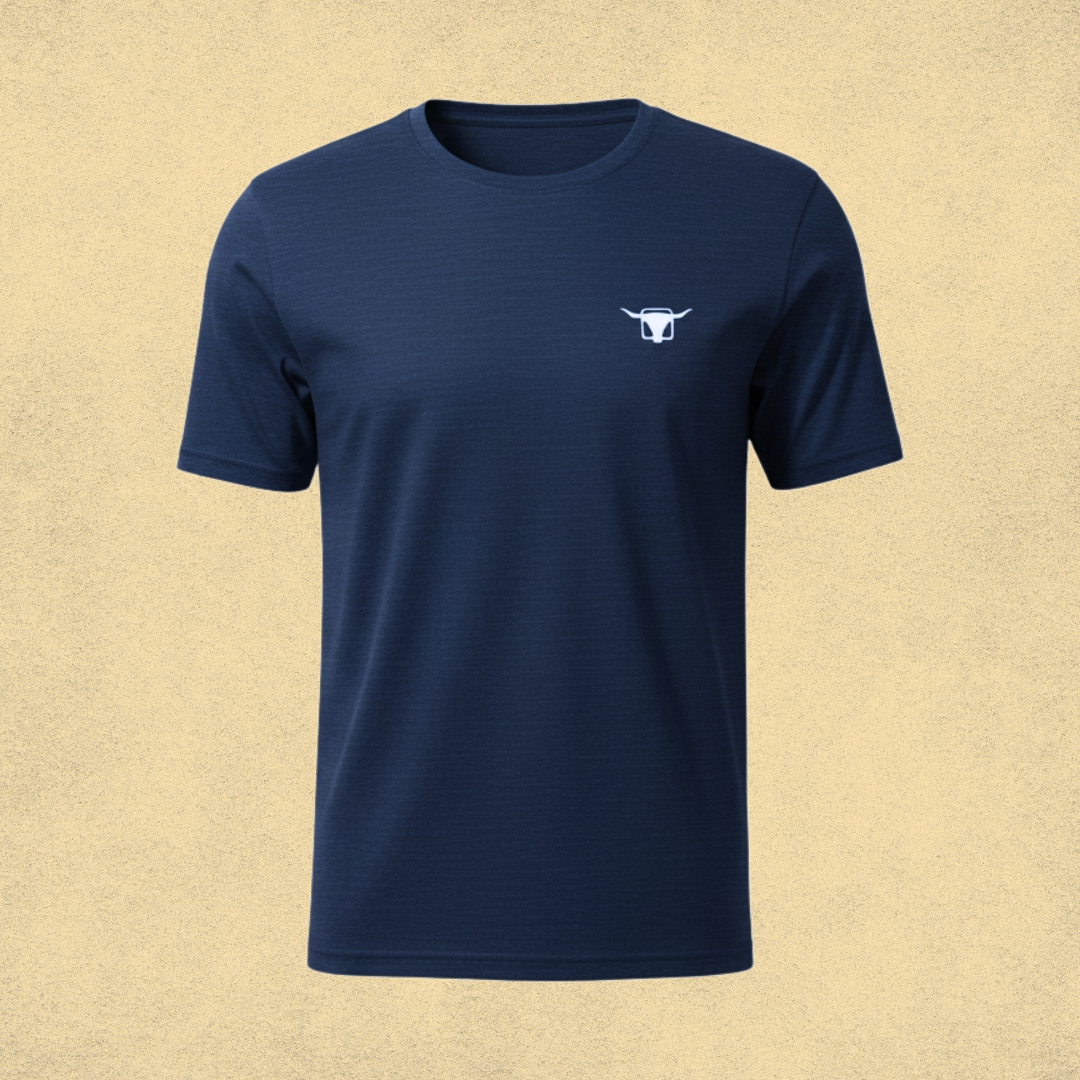 Camisa(preta azul e verde)