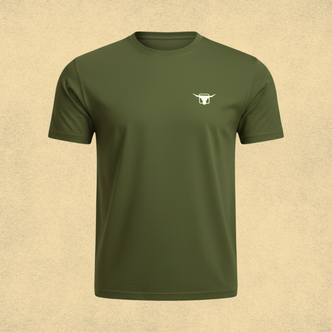 Camisa(preta azul e verde)